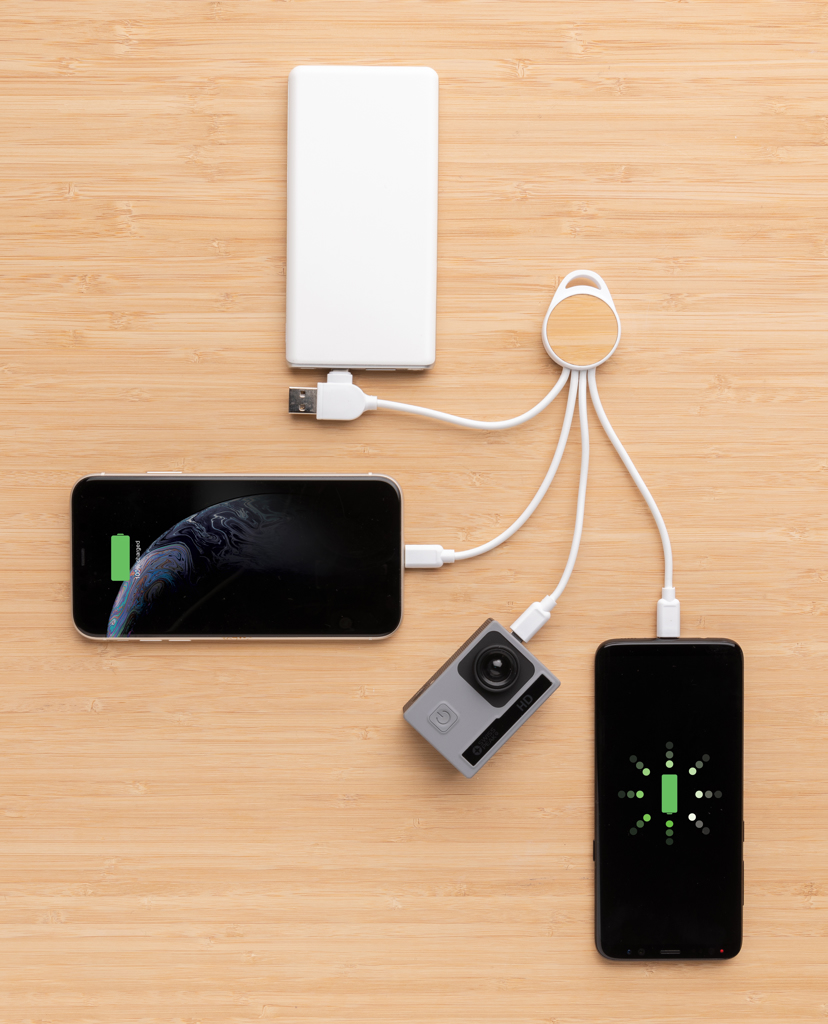Ontario Multikabel 6-in-1 aus recyceltem Kunststoff – Ideales Eventgeschenk mit Logo