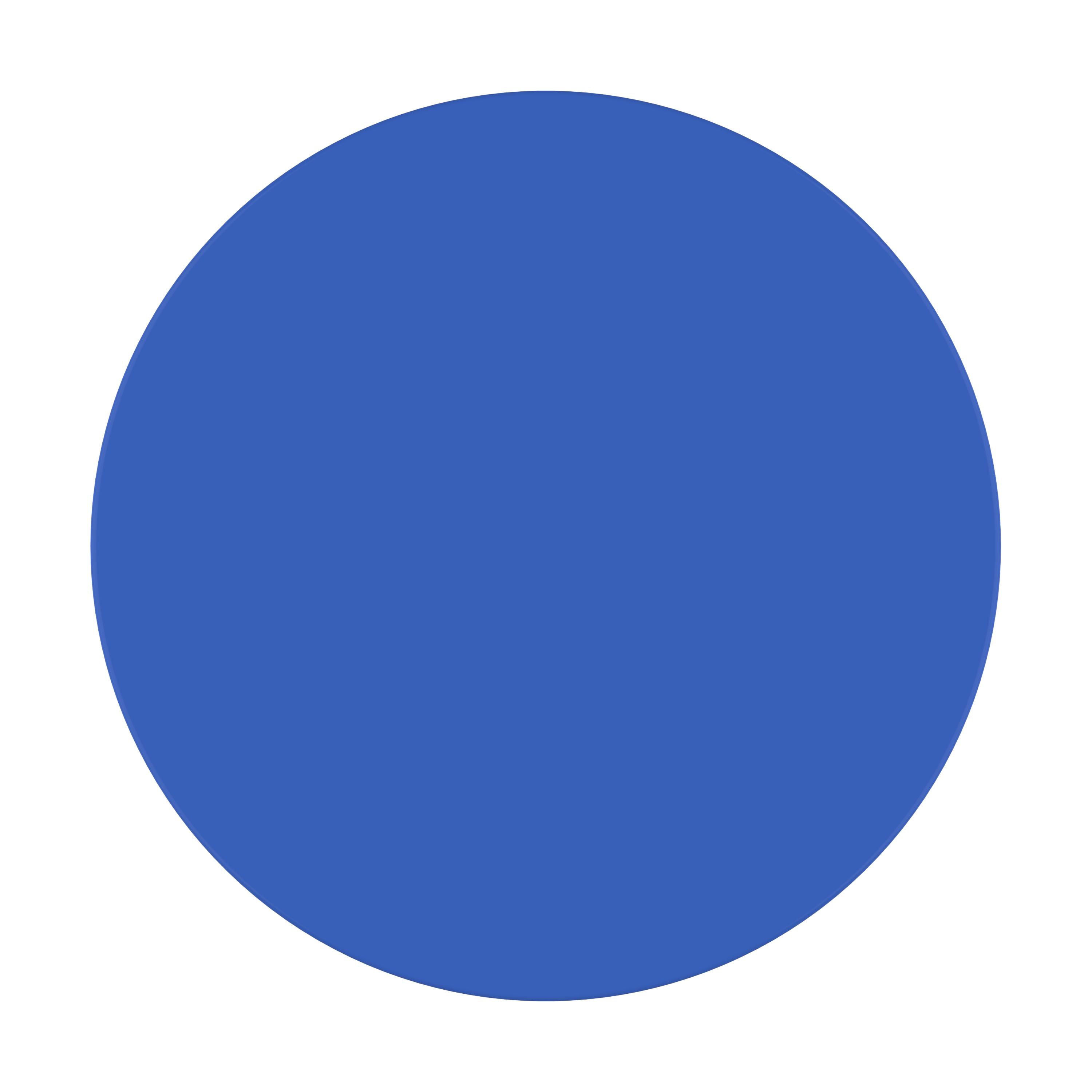 Einkaufswagenchip ohne Loch – TopView_StandardBlau_RS Einkaufswagenchip ohne Loch