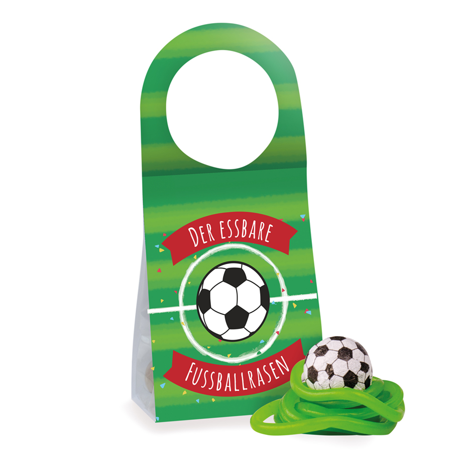 Anhänger Fussballrasen