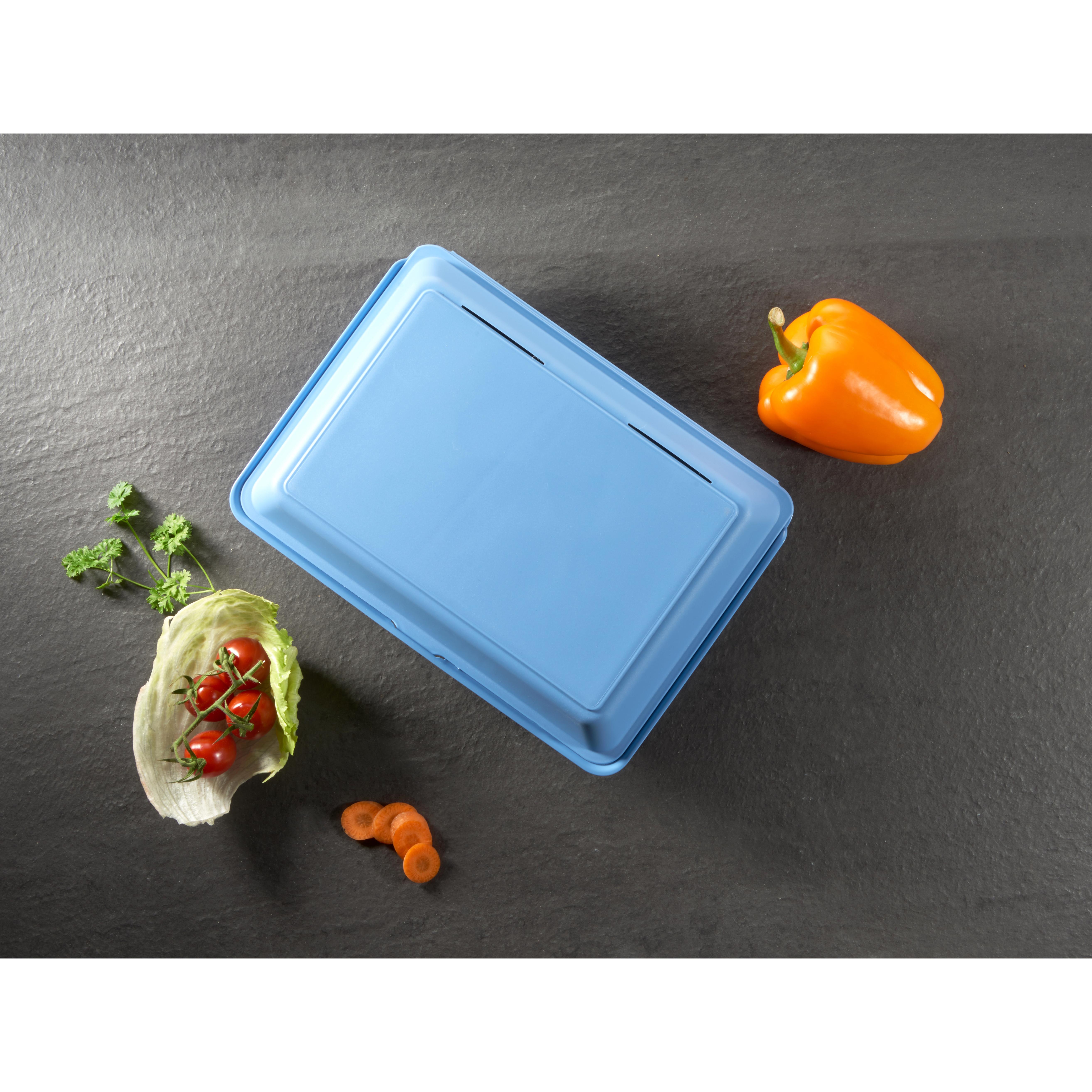 Menübox "ToGo" XL, ohne Trennstege – IMG2 Menübox "ToGo" XL, ohne Trennstege