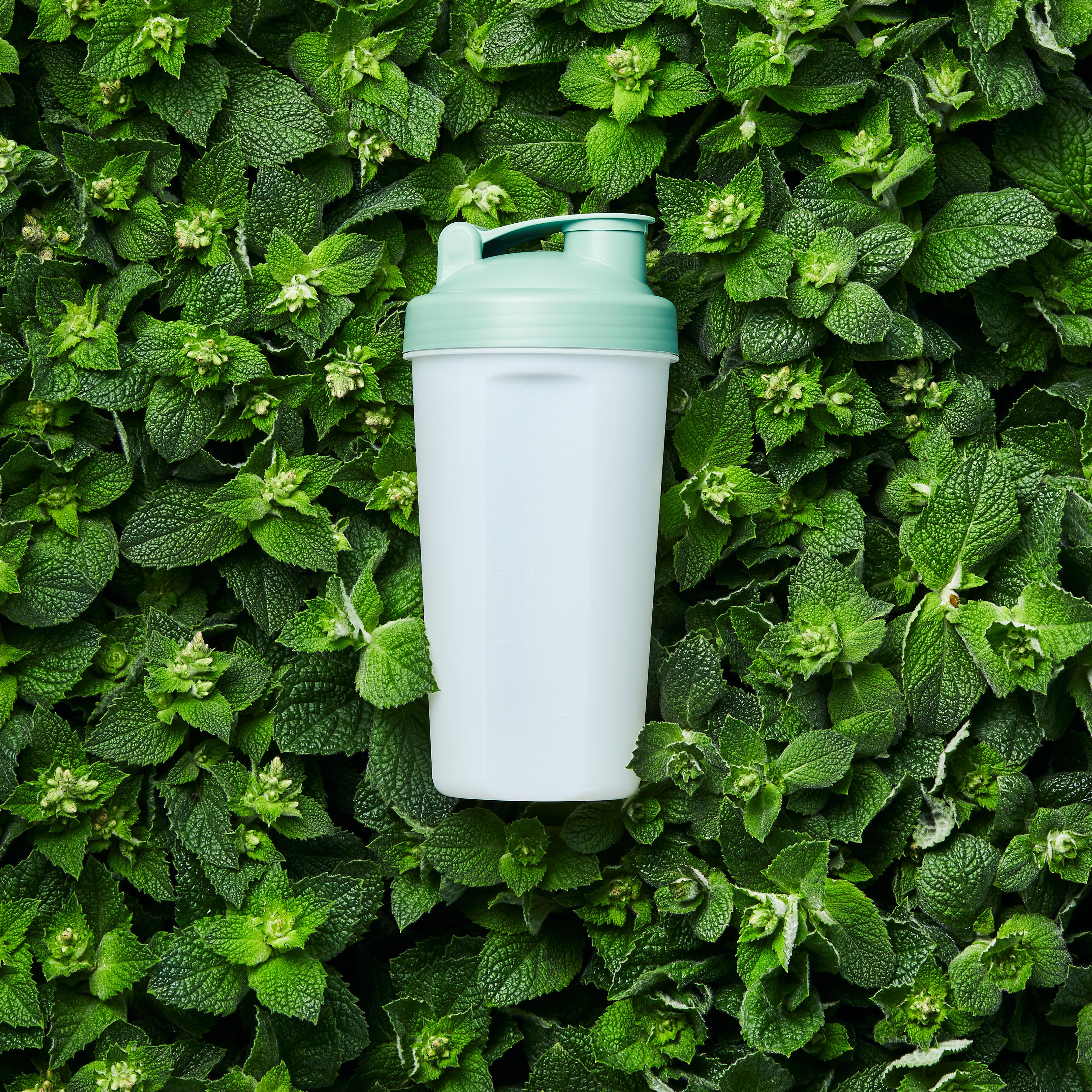 Bio-Shaker "Protein", 0,6 l – IMG1 Bio-Shaker "Protein", 0,6 l