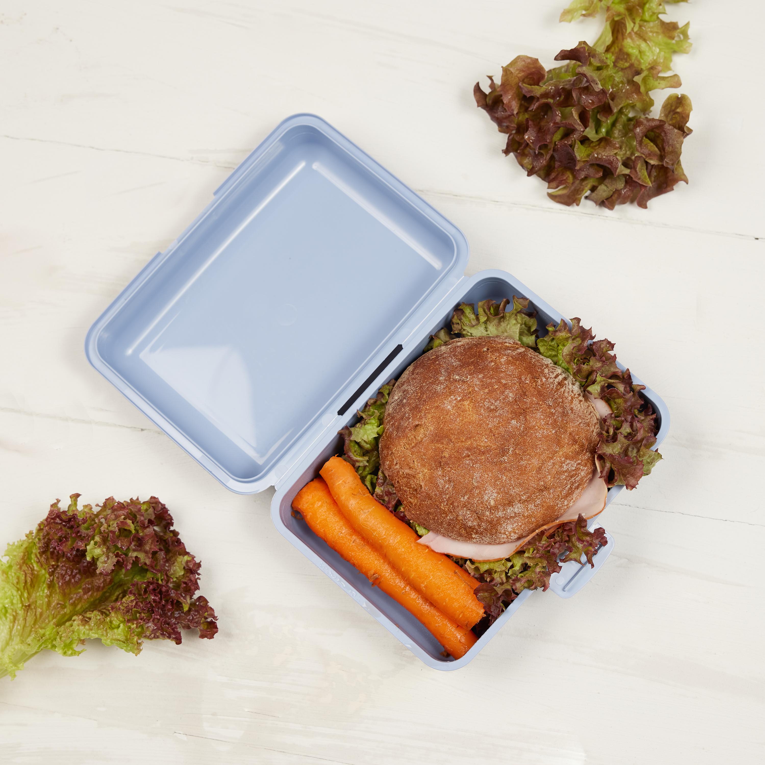 Bio-Vorratsdose "School-Box" groß – IMG2 Bio-Vorratsdose "School-Box" groß