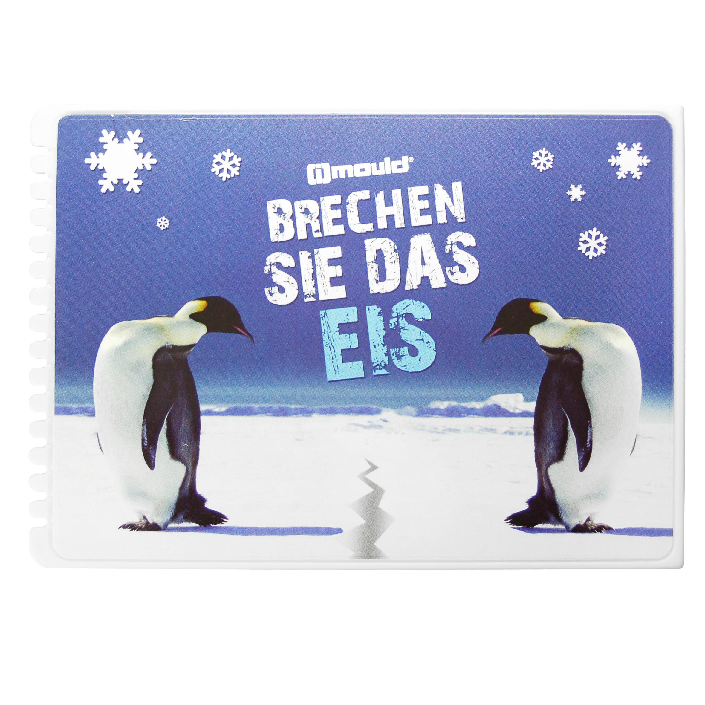 Eiskratzer "Rechteck" – INM4 Eiskratzer "Rechteck"