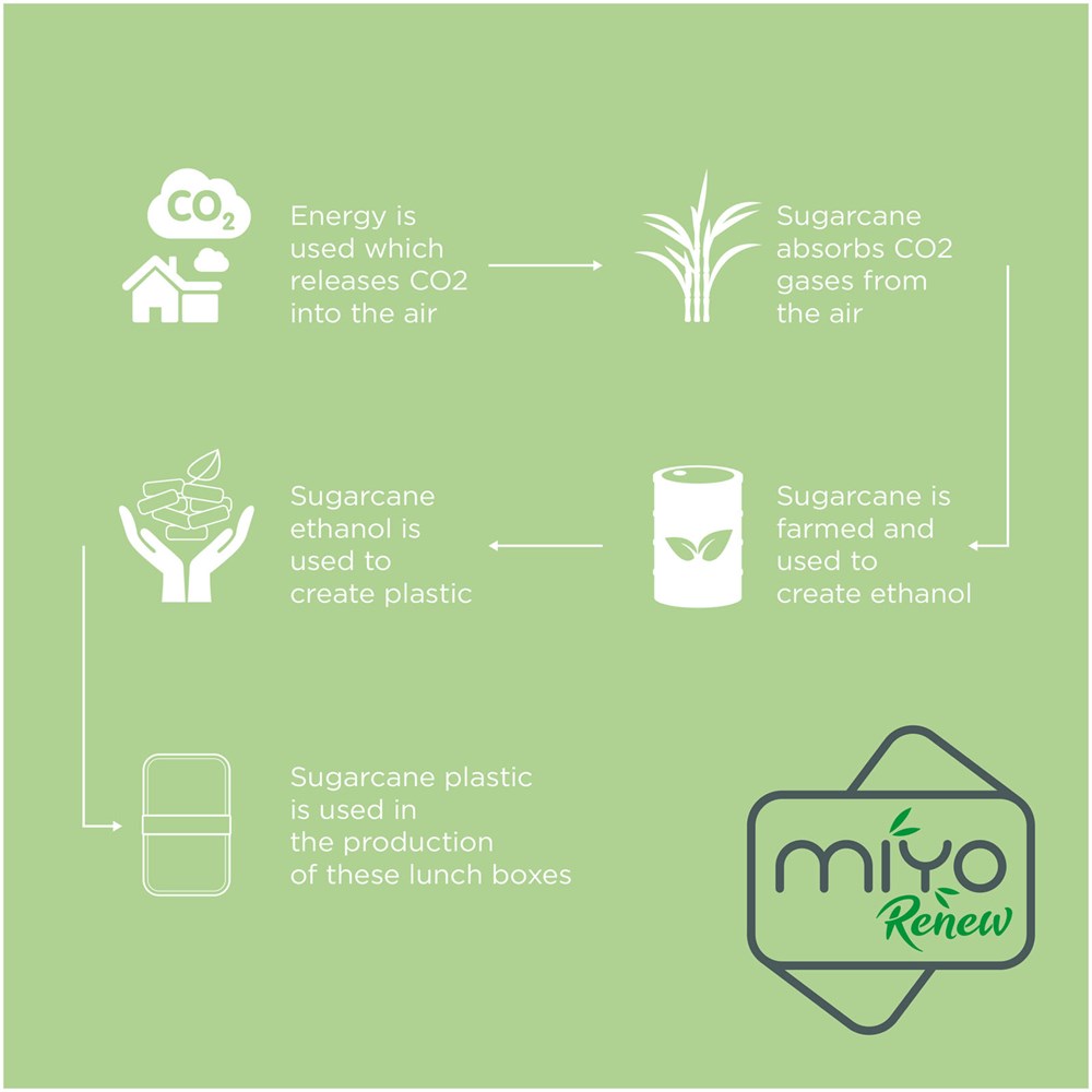 MIYO Renew EcoDuo Lunchbox - Perfekter Werbeartikel mit Logo